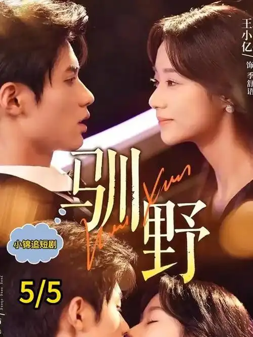 隐秘的角落 画廊大图